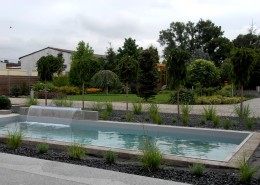 basen w nowoczesnym ogrodzie w Poznaniu